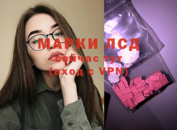 спиды Нефтекумск