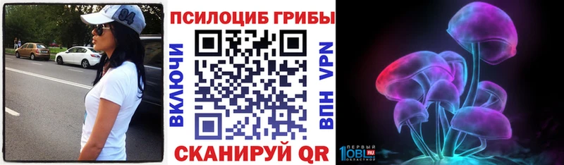 Псилоцибиновые грибы Psilocybine cubensis  Кыштым 