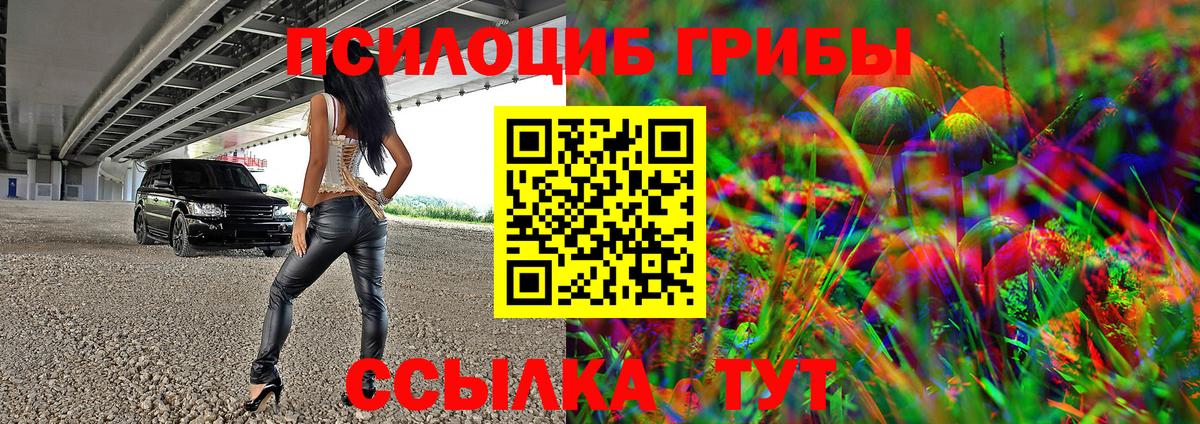 Псилоцибиновые грибы Cubensis  Кыштым 