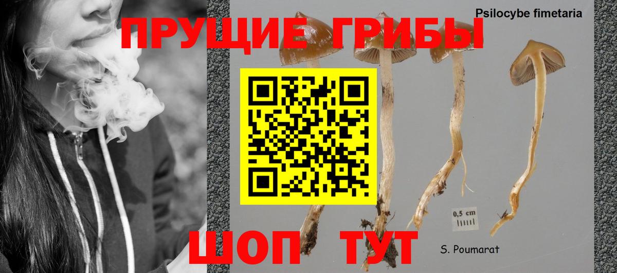 Галлюциногенные грибы прущие грибы  Вход с VPN  Кыштым 